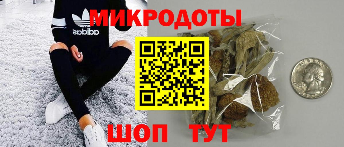 Псилоцибиновые грибы Psilocybine cubensis Новоуральск