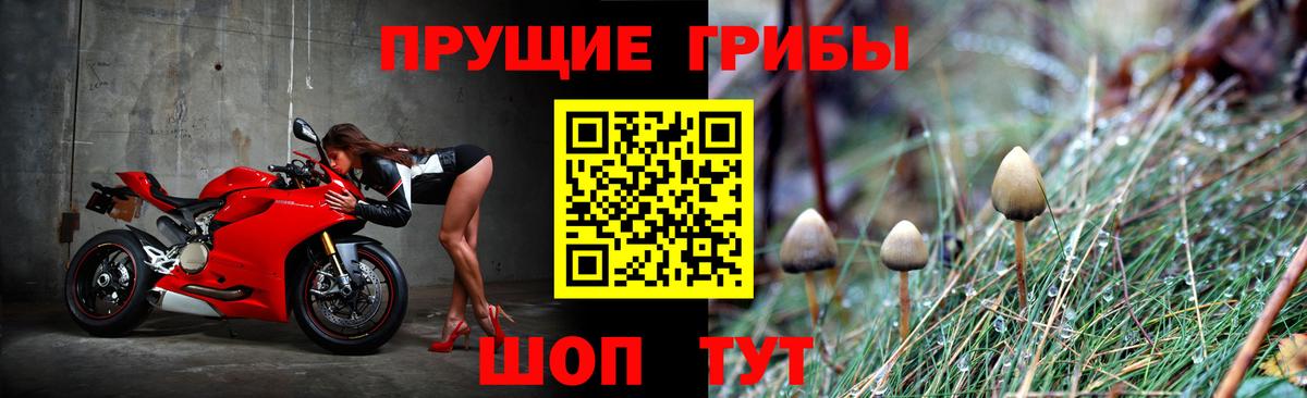 Новоуральск  Галлюциногенные грибы Magic Shrooms  Вход с VPN 